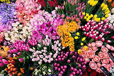 《绝地潜兵2》武器和支援主要平衡性补丁现已推出